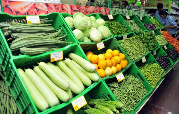 Chia sẻ kinh nghiệm cho những người có ý tưởng kinh doanh rau mầm
