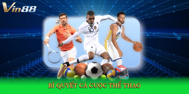 Thể Thao Vin88 – Đỉnh Cao Cá Cược Thể Thao Trực Tuyến