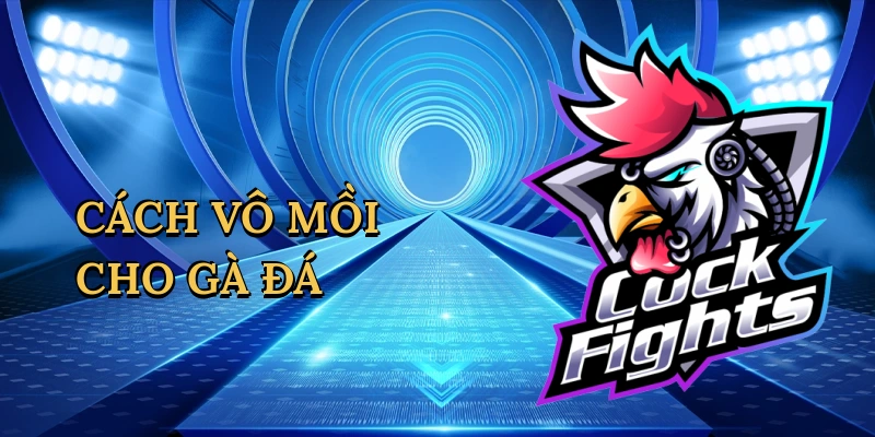 Cách vô mồi cho gà đá