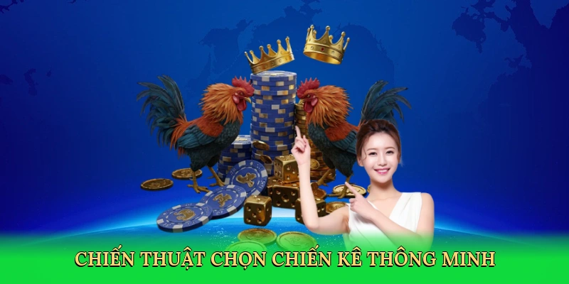 Chiến thuật chọn chiến kê thông minh